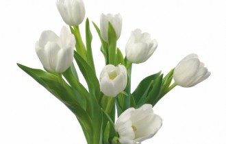 White flowers (34 обои)