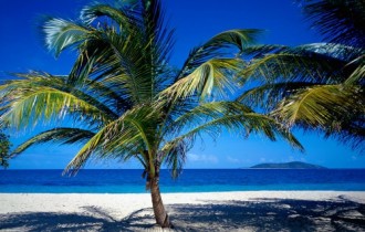 Wallpapers - Tropical Paradise Pack#4 (85 обоев)