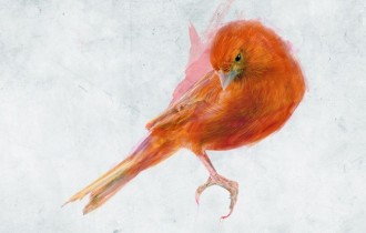 Птицы 4 (1600x1200) (30 обоев)