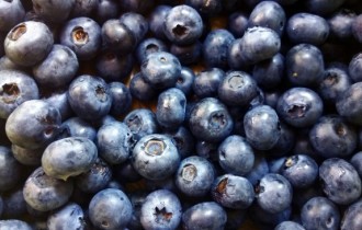 Їжа 766 (30 шпалер)