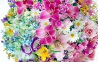 Квіти (40 шпалер)