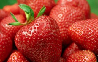 Strawberry Wallpapers Pack (174 шпалери)