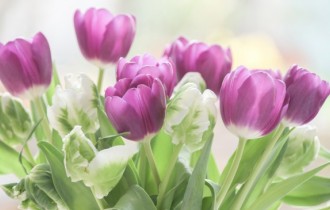 Цветочные обои 839 (3840x2160) (30 обоев)