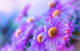 Floral wallpapers 479 (30 wallpapers)