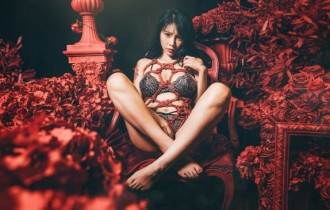 Красивые девушки в нижнем белье 326 (30 обоев)