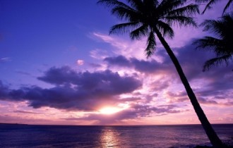 Bright Tropical Wallpapers (145 wallpapers)