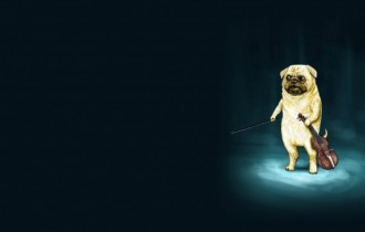 Dogs 22 (1920x1080) (30 wallpapers)