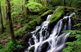 Rivers and Creeks Wallpapers Pack (48 обоев)