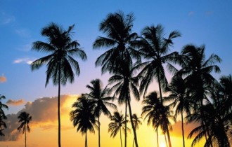 Wallpapers - Tropical Paradise Pack (58 wallpapers)