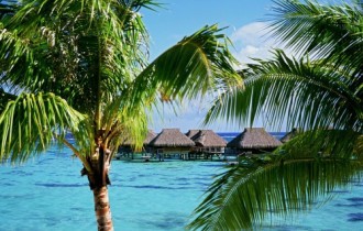 Wallpapers - Tropical Paradise Pack#12 (50 обоев)