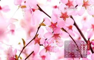 Spring wallpapers 4 (50 wallpapers)