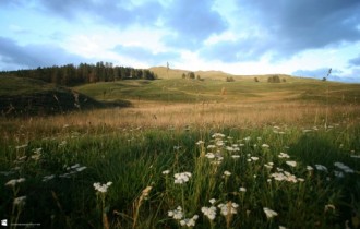 Fields, meadows, steppes (40 wallpapers)
