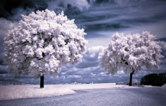Nature WideScreen Wallpapers #35 (60 шпалер)