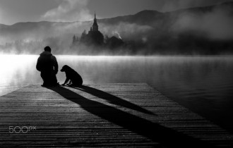 Dogs 131 (30 wallpapers)