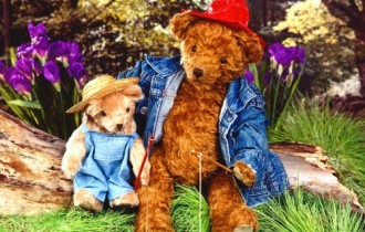 Teddy, Bears (11 шпалер)