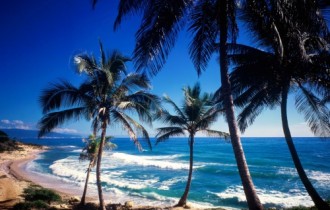 Wallpapers - Tropical Paradise Pack#3 (97 обоев)