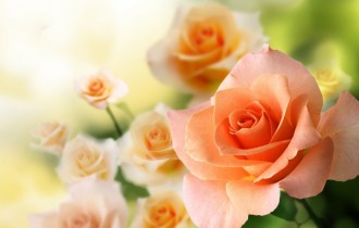 Floral wallpaper 880 (30 wallpapers)