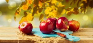 Еда 787 (30 обоев)