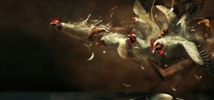 Birds 121 (1920x1200) (30 wallpapers)