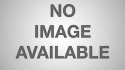 Собаки 151 (30 шпалер)