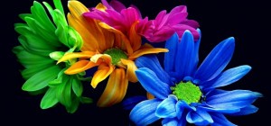 Цветочные обои 802 (2560x1600) (30 обоев)