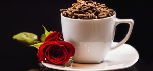 Їжа 794 (30 шпалер)