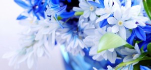 Квіткові шпалери 805 (2560x1600) (30 шпалер)