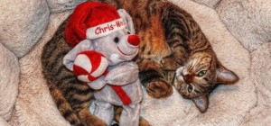 Коти 170 (30 шпалер)