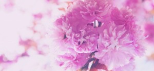Floral wallpaper 888 (30 wallpapers)