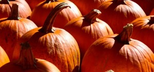 Food 804 (30 wallpapers)